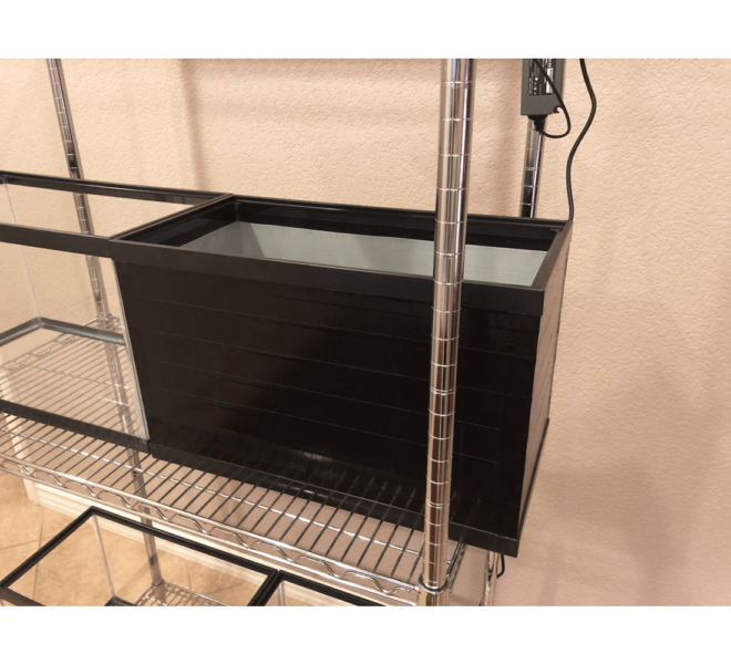 creative-experimental-hydroponics-c