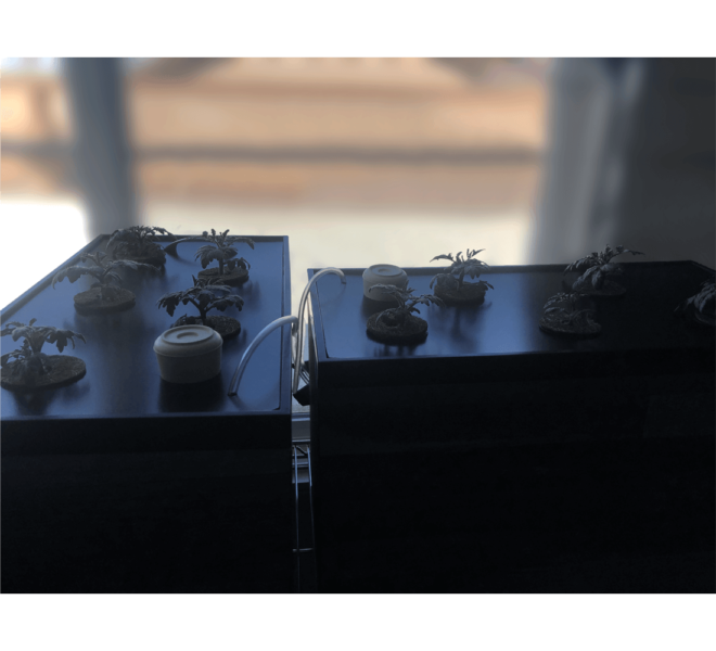 creative-experimental-hydroponics-e