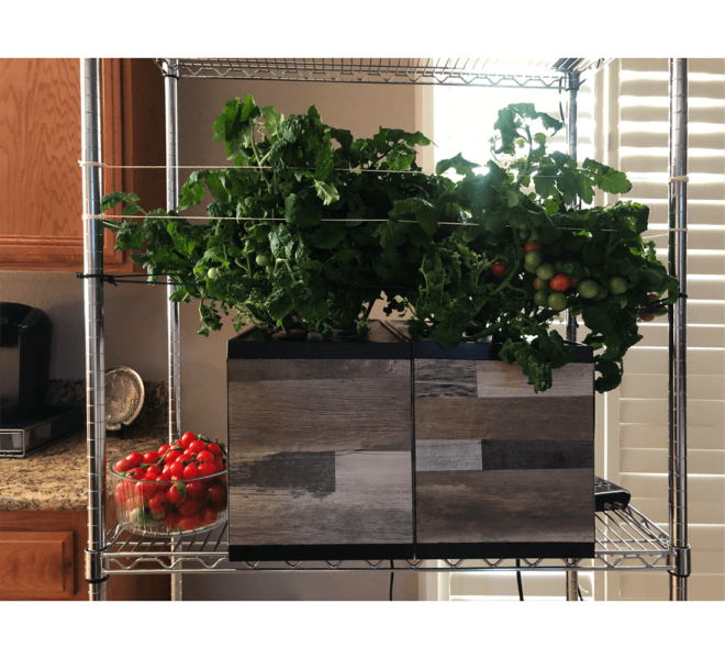 creative-experimental-hydroponics-l