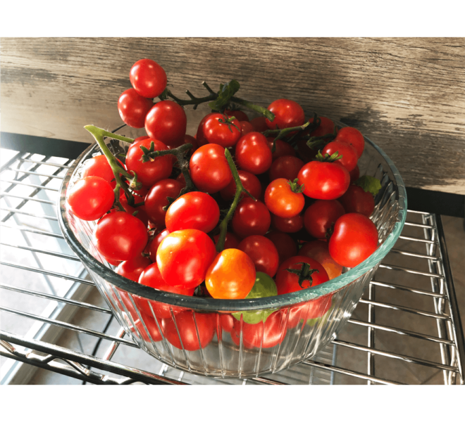 creative-experimental-hydroponics-n