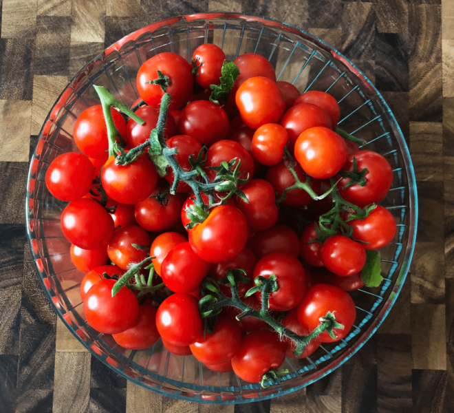 creative-experimental-hydroponics-p