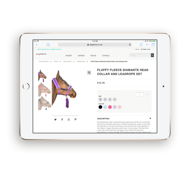 web-development-retail-ecommerce-a